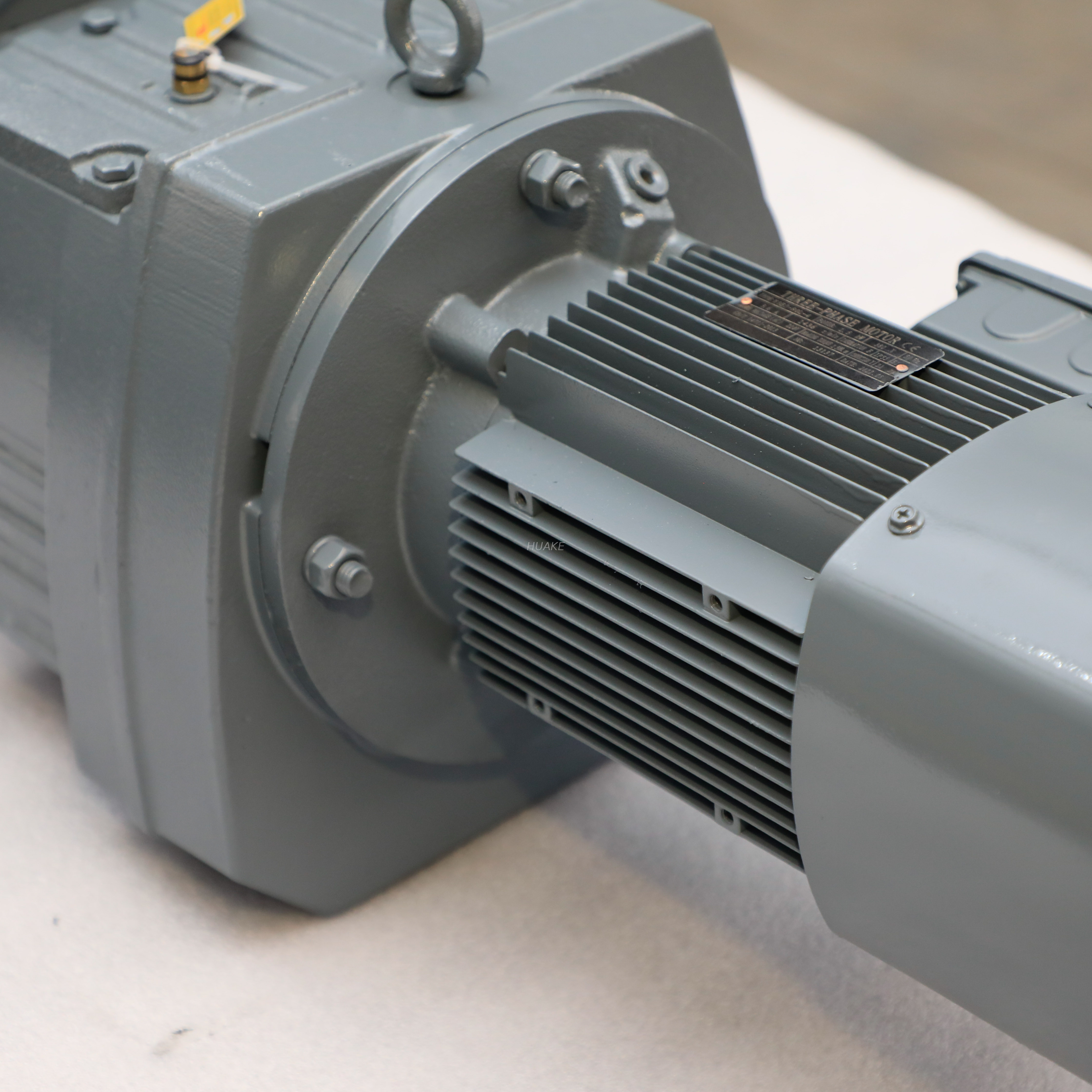 Motor de engranajes Serie R-RS107