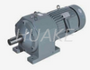 Motor de engranajes Serie R-RS107